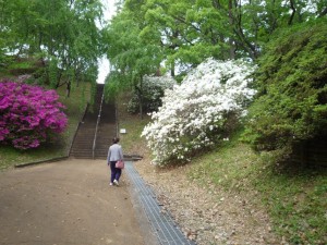 P1170414森林公園